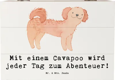 Produktbild von Mr. & Mrs. Panda Geschenkbox Cavapoo Abenteuer 22 x 15 cm - Weiß - Geschenk, Verspieltheit, Familienhund, Freude, Erinnerungskiste, Hunde, Hunderassen Beschreibung, Liebe