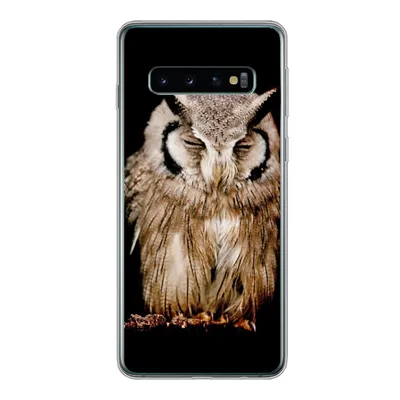 Produktbild von MuchoWow® Handyhülle Schutzhülle Hülle für Samsung Galaxy S10 Eule - Vogel - Schwarz Silikon Softcase Handy Hülle - Handytasche