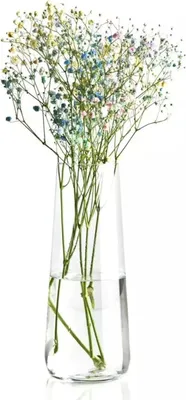 Produktbild von Hohe Glasblumenvasen - Glasvasen für Blumen - 1 Stück - 240 mm hoch - klares Glas