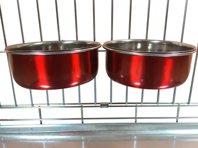 Image de Cages pour chiens pour camions, cages ou cages pour chiens, 1 paire