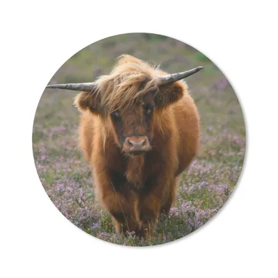 Produktbild von MuchoWow® Mauspad Mousepad Schottische Hochlandbewohner - Heidelandschaft - Tiere 30x30 cm - Mousepads - Maus Mat - Pad - Mausunterlage - Tischunterlage - Schreibtischmatten