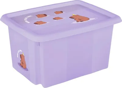 Image de Boîte de rangement Keeper Karolina « Capybara » 30 litres