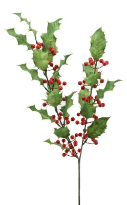 Produktbild von Künstlicher ILEXZWEIG ca. 75cm. Christdorn, Stechpalmen-Zweig