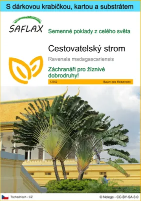 Obrázek produktu pro SAFLAX Dárková sada - Cestovatelský strom - Ravenala madagascariensis - 8 Semena - S dárkovou krabičkou, přepravním štítkem, dárkovou kartou a pěstebním médiem