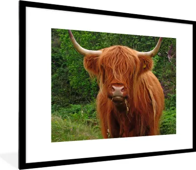Produktbild von MuchoWow® Gerahmtes Poster Schottischer Highlander - Kuh - Gras 80x60 cm - Poster mit Schwarzem Bilderrahmen Wandposter Rahmen Foto Bilder - Schlafzimmer-Dekorationen - Fotoposter