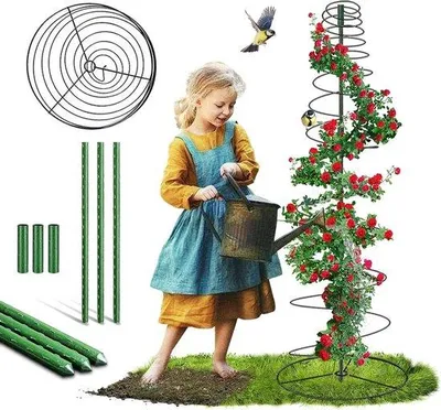 Image de Tuteur métallique en spirale pour plantes - hauteur 47-135 cm - pour le jardin, l'intérieur et l'extérieur