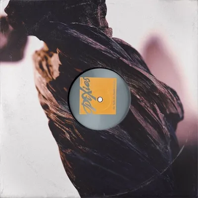 Zdjęcie produktu dla Pixies - The Night the Zombies Came (LP)