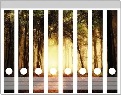 Produktbild von Wallario Ordnerrücken Sticker, selbstklebend für schmale Ordner, 8 Stück, Motiv Sonnenuntergang auf dem Waldweg