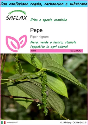 Immagine prodotto di SAFLAX Set regalo - Pepe  - 20 semi - Piper