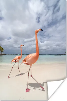 Produktbild von MuchoWow® Poster Zwei Flamingos auf einer Insel in Aruba 120x180 cm - Kunstposter