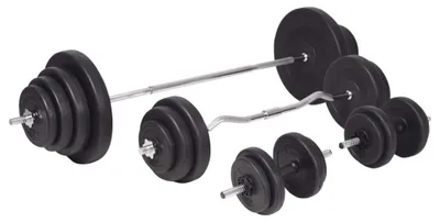 Obrázok produktu pre vidaXL Sada činiek a činiek 120 kg