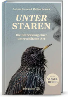 Image de Unter Staren