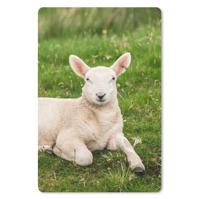 Produktbild von MuchoWow® Mauspad Mousepad Schafe - Tiere - Lamm 18x27 cm - Mousepads - Maus Mat - Pad - Mausunterlage