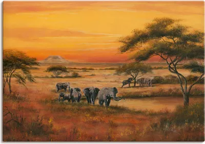 Produktbild von ARTland Leinwandbild Afrika Elefanten Größe: 100x70 cm
