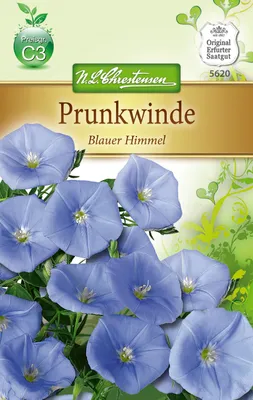 Produktbild von Kaiserwinde Himmel | Windensamen von N.L. Chrestensen