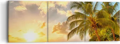 Produktbild von Bild auf Leinwand - Leinwandbild - Strand Meer Palme - 90x30cm - Wand Bild - Wanddeko - Wandbilder - Leinwanddruck - Bilder - Kunstdruck - Wanddekoration - Leinwand bilder - Wandkunst - CA90x30-3606