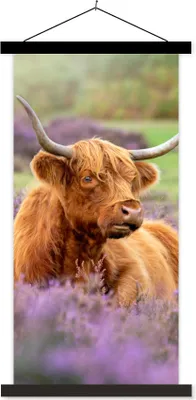 Produktbild von MuchoWow® Textilposter Schottisches Hochlandrind - Blumen - Licht 40x80 cm mit schwarzem Rahmen - Wandemalerei