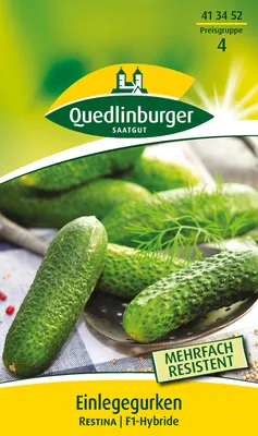 Produktbild von Quedlinburger Saatgut - Einlegegurken Restina - Samen - 413452