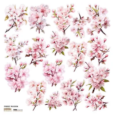 Produktbild von AUFKLEBER - ScrapLove - Cherry Blossom Apfelblüte