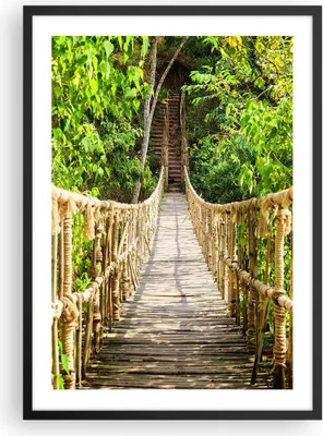 Produktbild von Gerahmtes Poster - Schwarzer Rahmen - Brücke Seil Dschungel - 50x70 cm - Wand Bild - Wanddeko - Wandbilder - Kunstposter - Wandposter - Bilderrahmen - Bilder - Kunstdruck - Wandbild - P2BPA50x70-4319