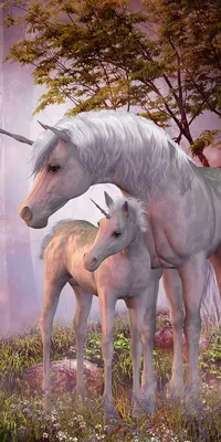 Produktbild von Duschtuch Badetuch Handtuch Strandtuch Einhorn Unicorn 70 x 140cm