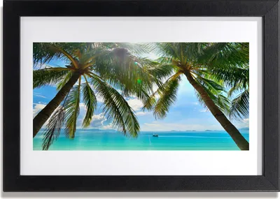 Produktbild von Bild 30x20 MDF-Rahmen Wandkunst Palme, Meer, Landschaft