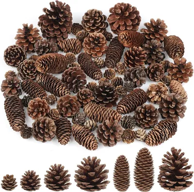 Productafbeelding van Natuurlijke dennenappels set decoratie - Set van 65 - Meerdere maten dennenappels ornamenten rustieke