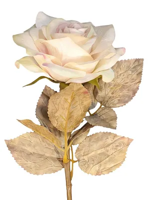 Produktbild von Clayre & Eef Kunstblume Weiß Kunststoff
