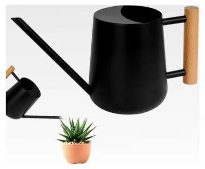 Produktbild von Edelstahl-Gießkanne, 1 l, kleine Gießkanne für Pflanzen, Zimmerpflanzen, mit langem Ausgießer, für Haus und Bonsai (schwarz)