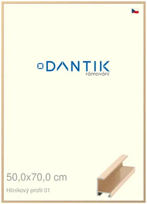 Obrázek produktu pro DANTIK rámeček 50x70 | ALU profil 6001 Zlatá lesklá (Plexi Čiré)