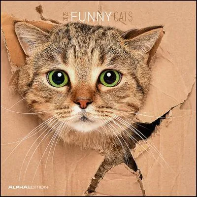 Produktbild von Funny Cats 2023 30x30