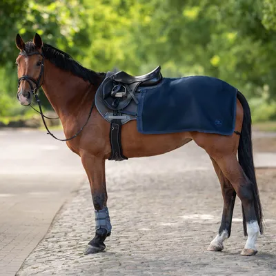 Obrázek produktu pro Tréninkový koberec BUSSE 3D Air Pro Riding Rug Navy 155