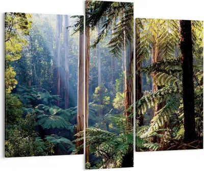 Produktbild von Bild auf Leinwand - Leinwandbild - 3 Teile - Morgendämmerung Bäume Wald - 95x80cm - Wand Bild - Wanddeko - Wandbilder - Leinwanddruck - Bilder - Wanddekoration - Leinwand bilder - CB95x80-4403