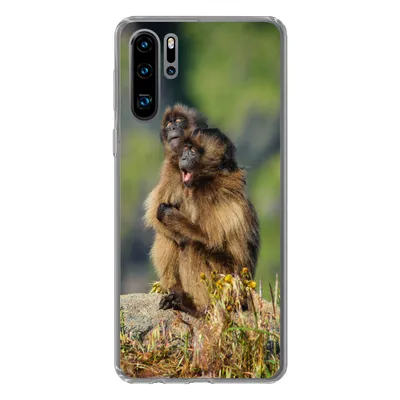 Produktbild von MuchoWow® Handyhülle Schutzhülle Hülle für Huawei P30 Pro Affen - Pflanzen - Steine - Familie Silikon Softcase Handy Hülle - Schutzdeckel