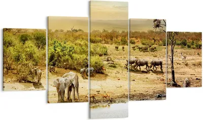 Produktbild von Bild auf Leinwand - Leinwandbild - Safari Tiere - 125x70cm - Wand Bild - Wanddeko - Wandbilder - Leinwanddruck - Bilder - Kunstdruck - Wanddekoration - Leinwand bilder - Wandkunst - EA125x70-3880