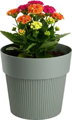 Obrázek produktu pro HowHomely | Květináč – nádoba na rostliny – šedozelený – 11 x 13 cm – z recyklovaného materiálu – rýhovaná struktura – přesaďovací květináč