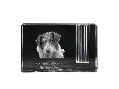 Produktbild von Ciobănesc Românesc Mioritic, Mocano, Barac - Stifthalter, Kristallorganizer mit Hundefoto, einzigartige Schreibtischdekoration der Marke Art-Dog