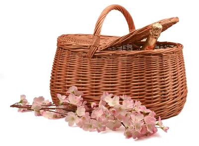 Produktbild von JIPRO® Picknickkorb aus Weide Eger I. - Weidenkorb - B 44 x T 28 x H 23/36(cm)