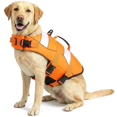 Productafbeelding van Hondenzwemvest - Zwemvest hond - XL - Met handvat en D-ring - Sportstijl