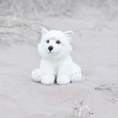 Image de Renard polaire Animigos en peluche