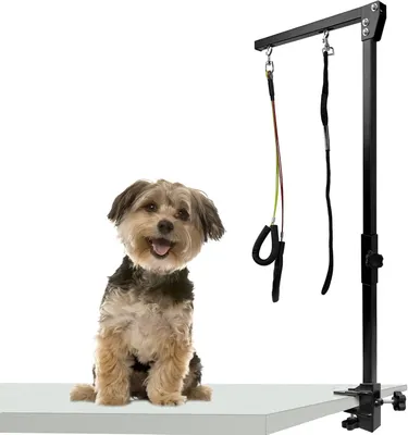 Produktbild von Sessamen-LP Hundefrisiertischarm, Faltbarer Tierpflegearm, Höhenverstellbar Haustier-Fellpflegearm mit Klemme, 89cm
