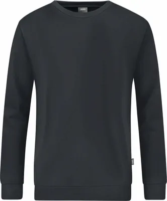 Obrázek produktu pro JAKO Unisex mikina Organic, barva:antracitová, velikost:XL
