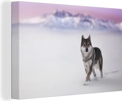 Produktbild von OneMillionCanvasses® - Leinwandbilder - 140x90 cm, Wolf - Schnee - Berge, Wandbilder Kunstdruck Wanddekoration