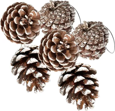 Produktbild von 24-teiliges Tannenzapfen-Set für Weihnachtsbaum, Schneeflocke, natürliches Tannenzapfen-Ornament mit Schnur, Anhänger, Bastelarbeiten für Weihnachtsfeier, Heimdekor, Herbst, Winter, Feiertage, Weihnachtsbaum-Dekoration (24)