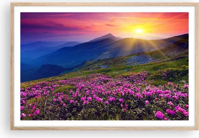 Produktbild von Gerahmtes Poster - Rahmen in heller Eiche - Wiese Berge Landschaft - 91,5x61 cm - Wand Bild - Wanddeko - Wandbilder - Wandposter - Bilderrahmen - Bilder - Kunstdruck - Wandbild - P2NAA91x61-2676