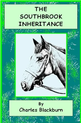 Produktbild von The Southbrook Inheritance