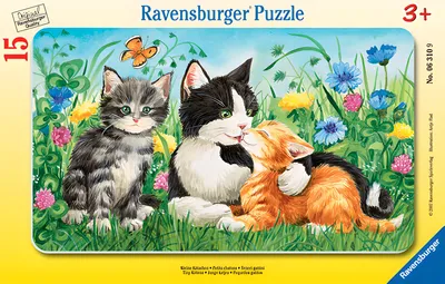 Produktbild von Rahmenpuzzle - Kleine Kätzchen - 15 Teile