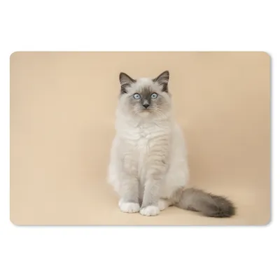 Produktbild von MuchoWow® Mauspad Mousepad Katze - Siamese - Porträt - Mädchen - Kinder - Jungen - Kinder 27x18 cm - Mousepads - Maus Mat - Pad - Mausunterlage - Büroartikel - Desk Matten