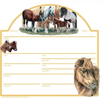 Produktbild von Stalltafel Boxenschild - Shettland Pony - ©Kollektion Bötzel - 38584 - Gr. ca. 30cm x 28,5cm