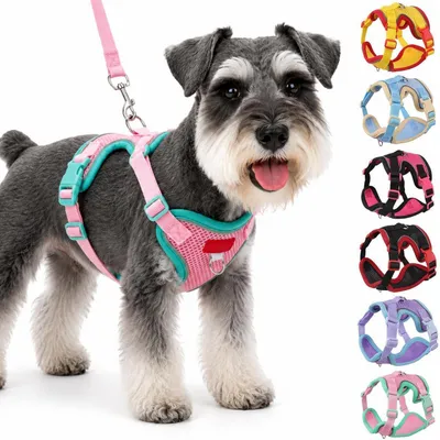Image de Harnais pour chien avec laisse, ensemble rose. Respirant, réglable, réfléchissant